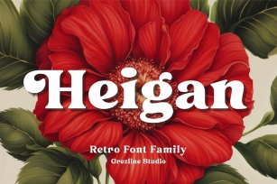 Heigan - Retro Font Family Font Download