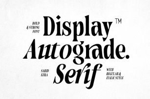 Autograde - Strong Bold Serif Font Download