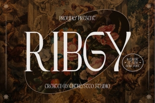 Ribgy Stylish Serif Font Font Download