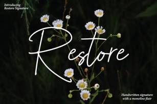Restore - Casual Handwritten Font Download