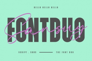 Sansuy Font Duo Script Sans Typeface Font Download