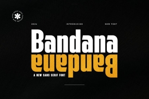Bandana - Modern Sans Serif Font Font Download