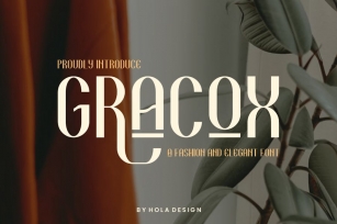 Gracox - Sans Serif & Luxury Font Font Download