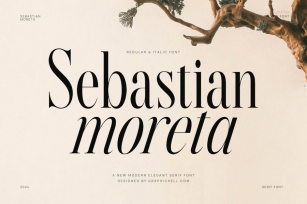 Sebastian Moreta Family Serif Font Text Font Download
