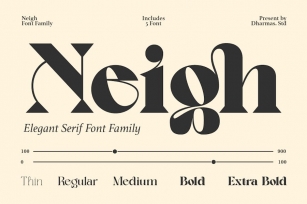 Neigh - Modern Luxury Logo Font Font Download
