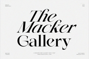 The Macker Gallery Family Serif Font Text Font Download