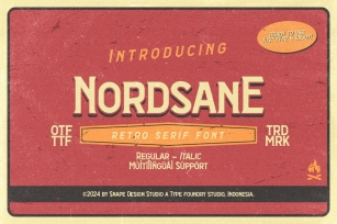Nordsane - Retro Serif Font Font Download