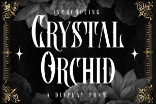 Crystal Orchid Display Blackletter Font Font Download