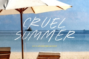 Cruel Summer - Dry Brush Font Font Download