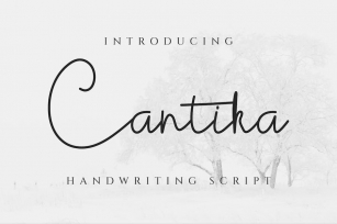 Cantika Script Signature Font Font Download