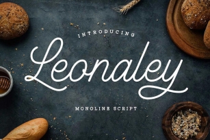 Leonaley â€“ Minimalist Monoline Font Download