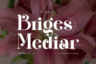 Briges Mediar Elegant Ligature Serif Font Typeface Font Download