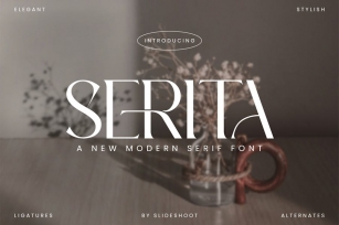 Serita Serif Font Font Download