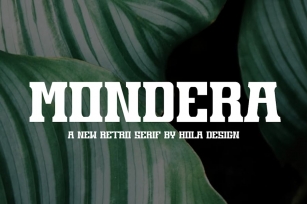 Mondera - Retro Serif  Font Font Download