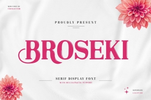 Broseki - Serif Display Font Font Download