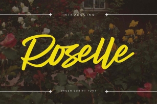 Roselle - Brush Script Font Font Download
