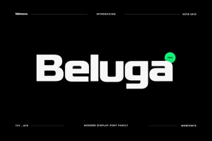 Beluga - Modern Sans-Serif Font family Font Download