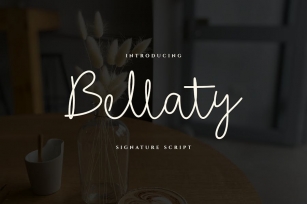 Bellaty Signature Script Font Font Download