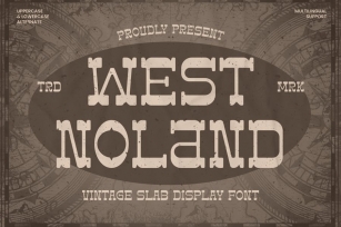West Noland - Vintage Slab Font Font Download