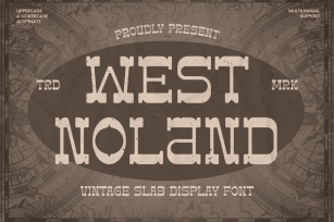 West Noland - Vintage Slab Font Font Download