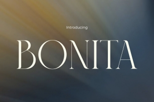 Bonita - Sleek Elegance Modern Font Font Download