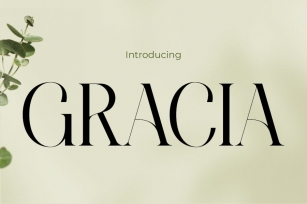 Gracia - Modern Elegance Font Font Download