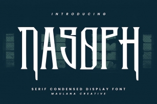 Nasoph Serif Condensed Display Font Font Download