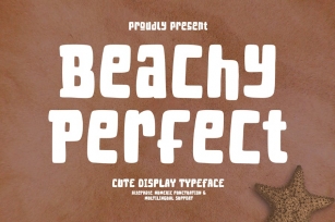 Beachy Perfect - Display Font Font Download