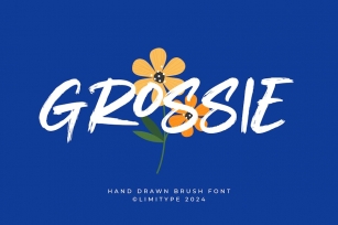 Grossie - Hand drawn brush Font Font Download