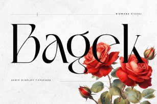 Bagek - Modern Branding Logo Font Font Download