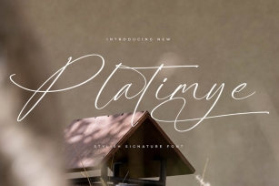 Platimye Stylish Signature Font Font Download