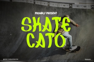 Skatecato - Graffiti Brush Font Font Download