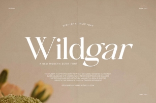 Wildgar Family Serif Font Text Font Download