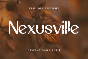 Nexusville Display Sans Serif Font Font Download