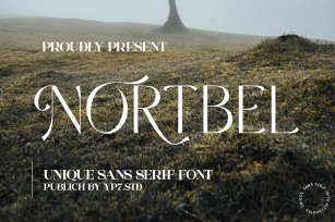 Elegant Sans Serif Font Font Download