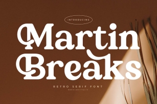 Martin Breaks Retro Serif Font Font Download