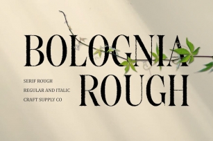 Bolognia Rough Font Download