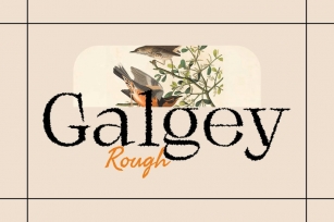 Galgey Rough Font Download