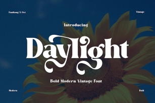 Daylight - Bold Modern Vintage Font Font Download