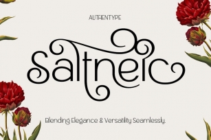 Saltnic Sans Serif Font Font Download