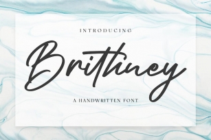 Brithney - Signature Font Font Download