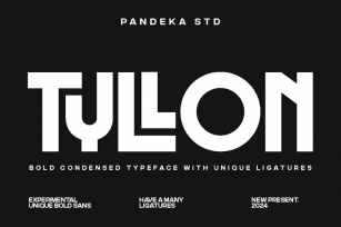 Tyllon - Modern Sans Font Font Download