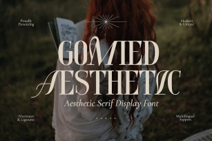 Gomied Aesthetic - Serif Display Font Font Download
