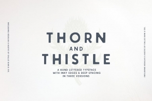 Thorn & Thistle Sans Family Font Download
