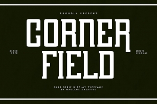 Corner Field Slab Serif Display Font Font Download
