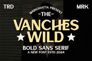 Vanches Wild - Bold Sans Serif Font Download