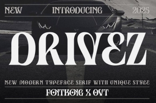 Drivez-New Modern Serif Typeface with Unique Style Font Download