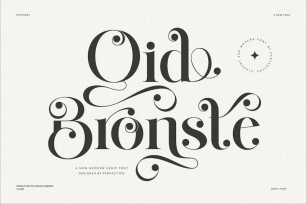 Qid Bronste Elegant Serif Font Typeface Font Download