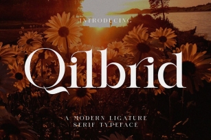 Qilbrid Modern Ligature Serif Font Download