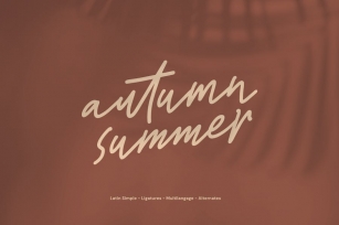 Cd Autumn Summer Handwriting Script Font Download